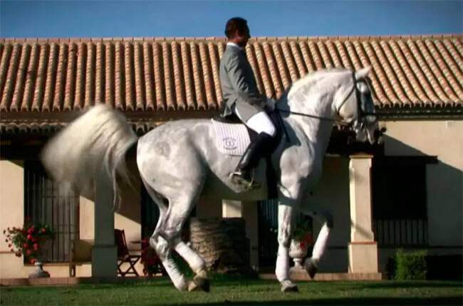 Videoclip India Martínez